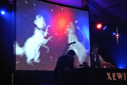 Image Not Found On Media Library