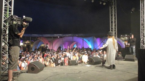 Image Not Found On Media Library