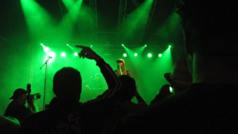 Image Not Found On Media Library