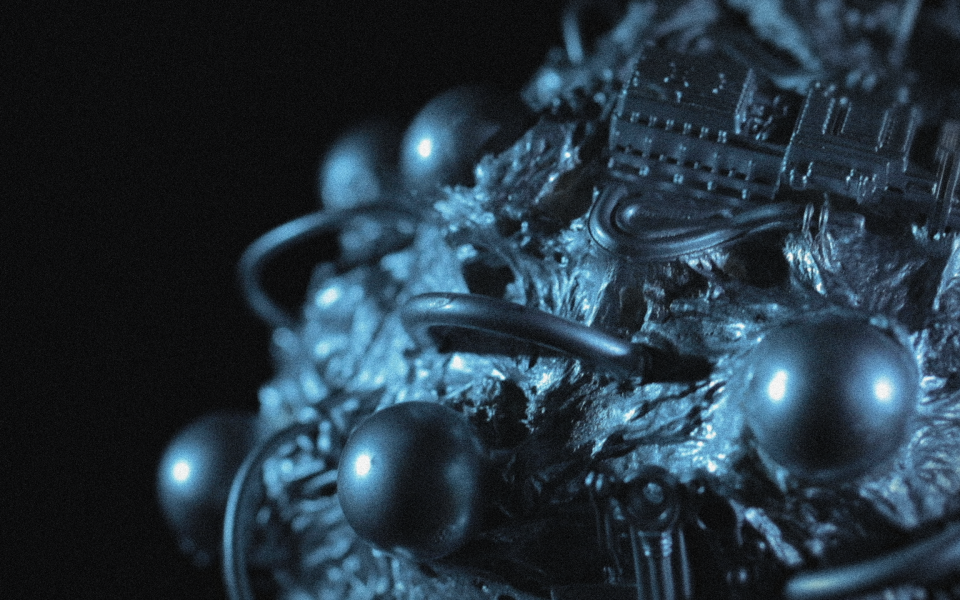 Image Not Found On Media Library