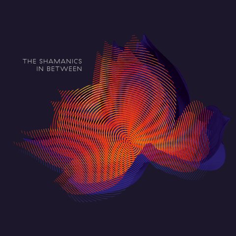 Image Not Found On Media Library