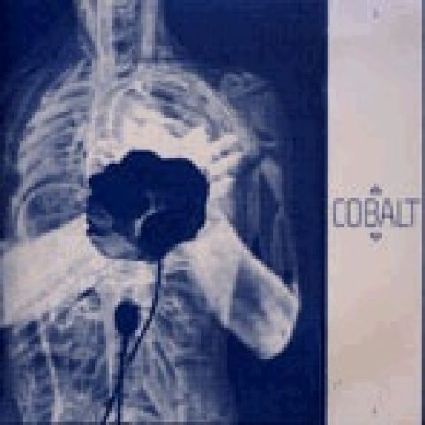 Image Not Found On Media Library