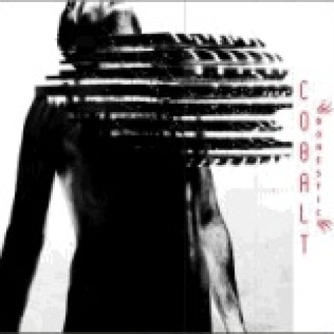 Image Not Found On Media Library